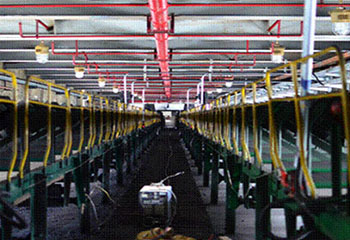 SPL/DZ型消防噴霧自動滅火系統(tǒng)裝置